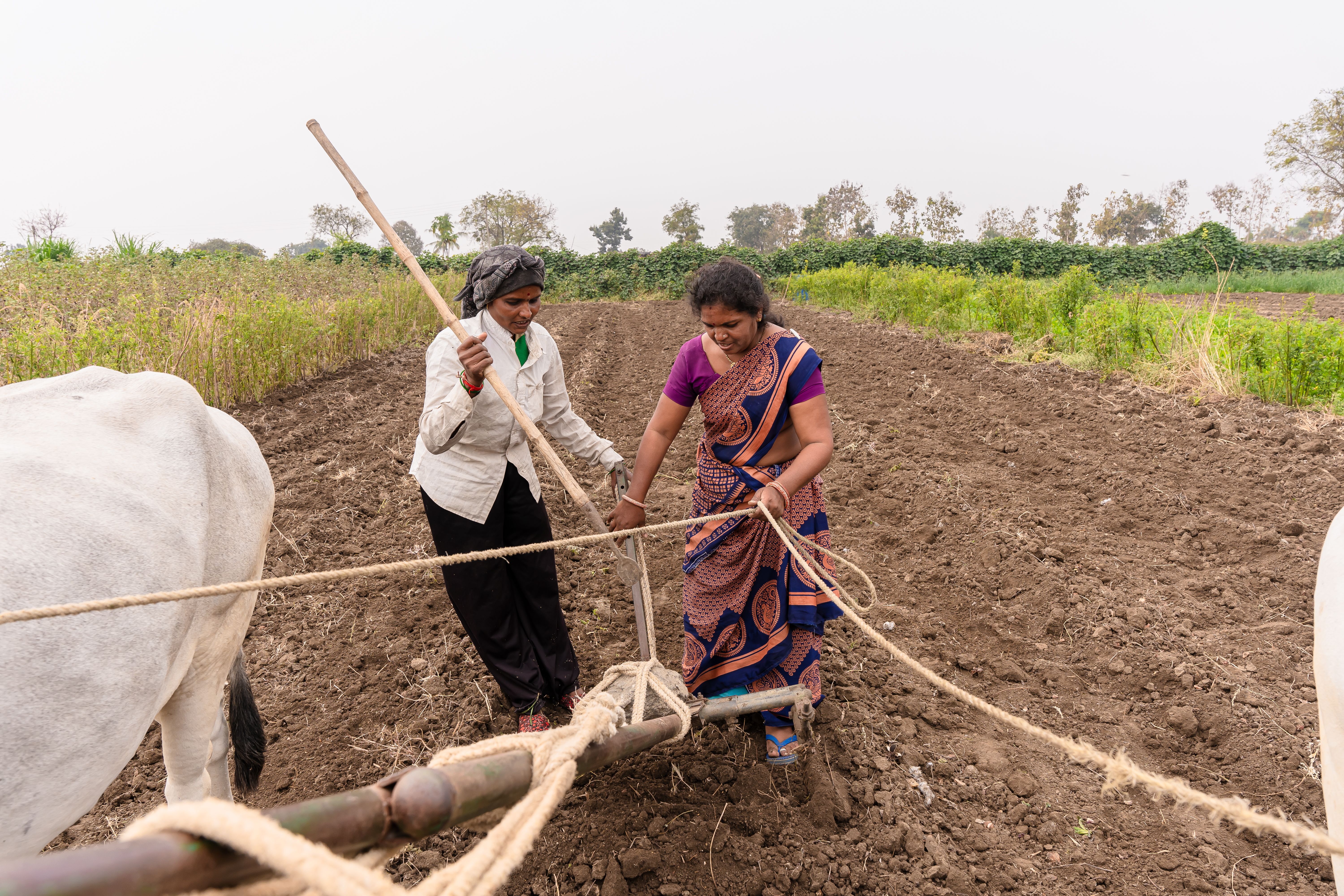 Africa's Climate Justice Crisis: Why Western "Solutions"