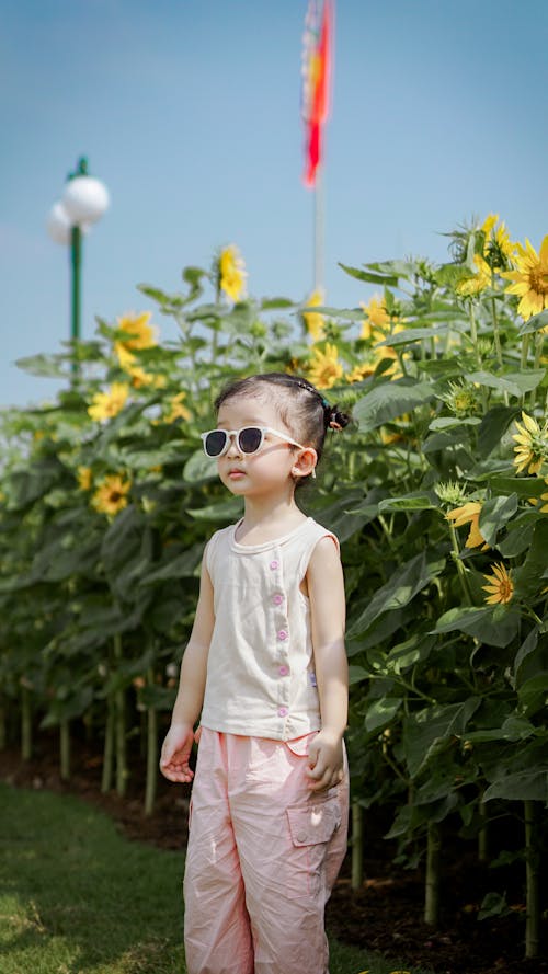 Immagine gratuita di bambino, estate, fioritura