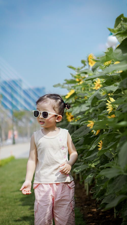 可愛, 向日葵, 垂直拍攝 的 免費圖庫相片