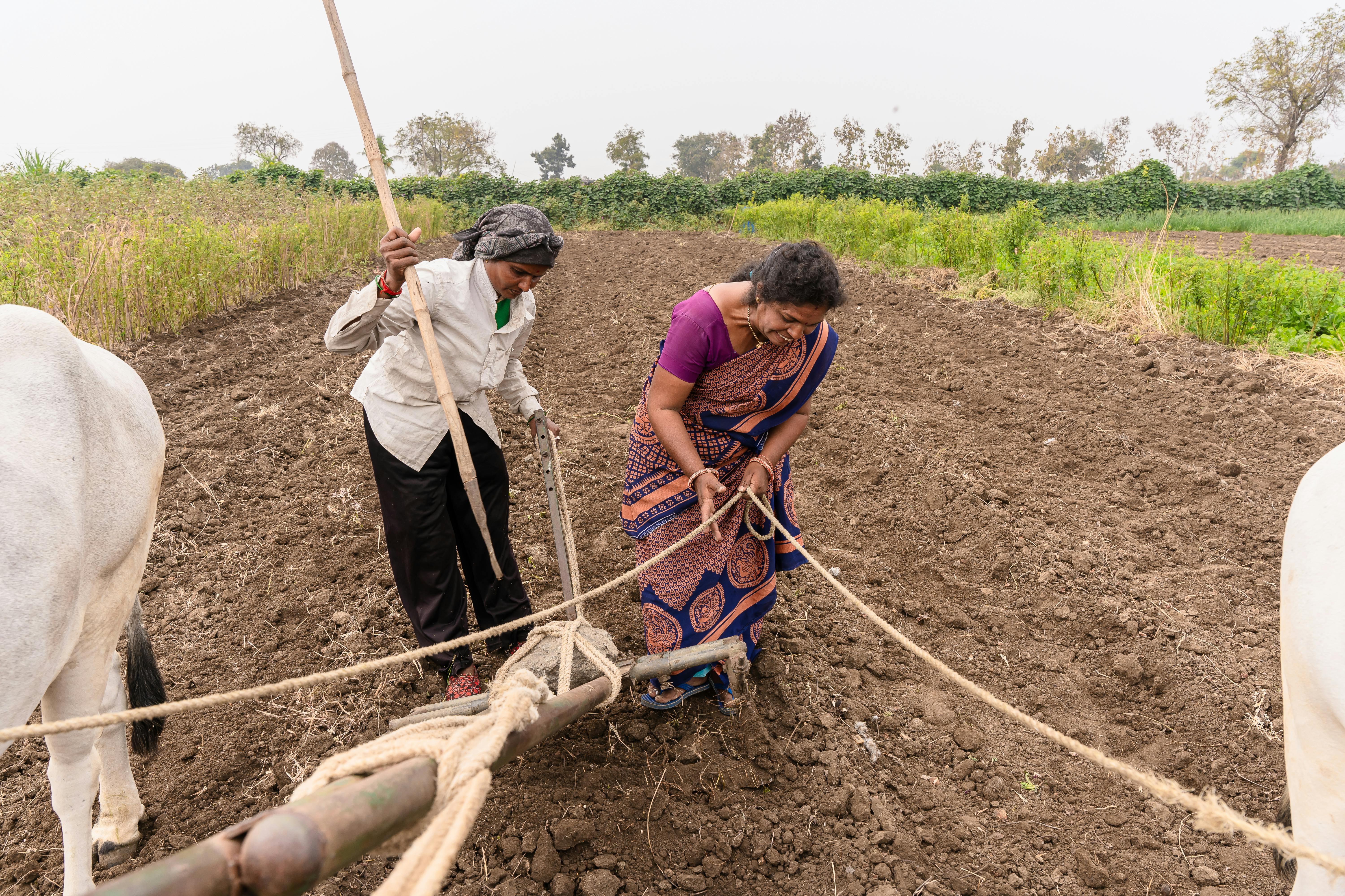 Year-end financial planning for farmers — Photo by EqualStock IN on Pexels