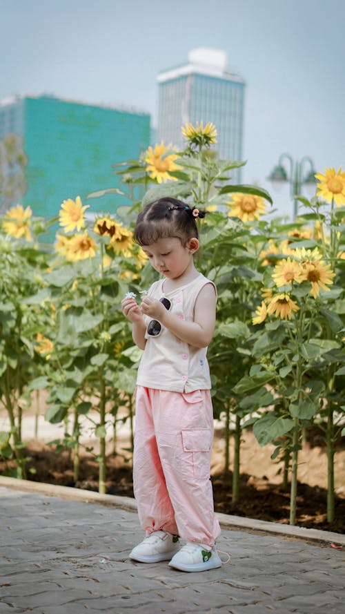 Immagine gratuita di carino, colore, fiori