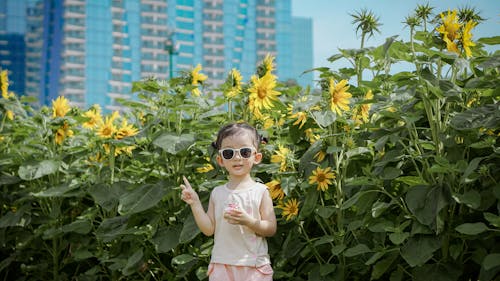 Immagine gratuita di carino, estate, girasoli