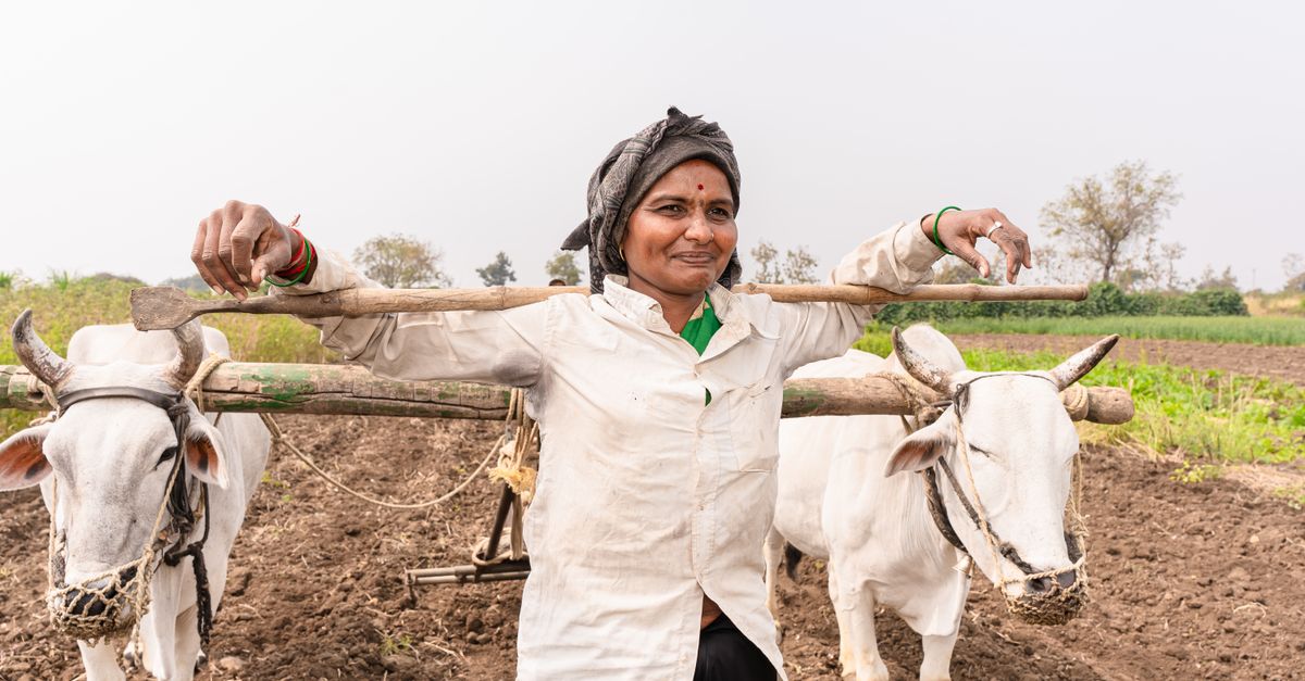 Les 7 outils de ferme indispensables pour les agriculteurs