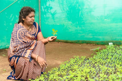 Farmers in India