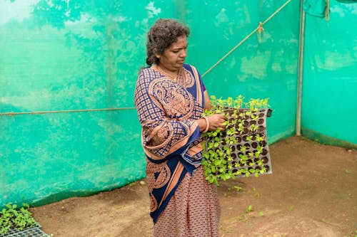 Farmers in India