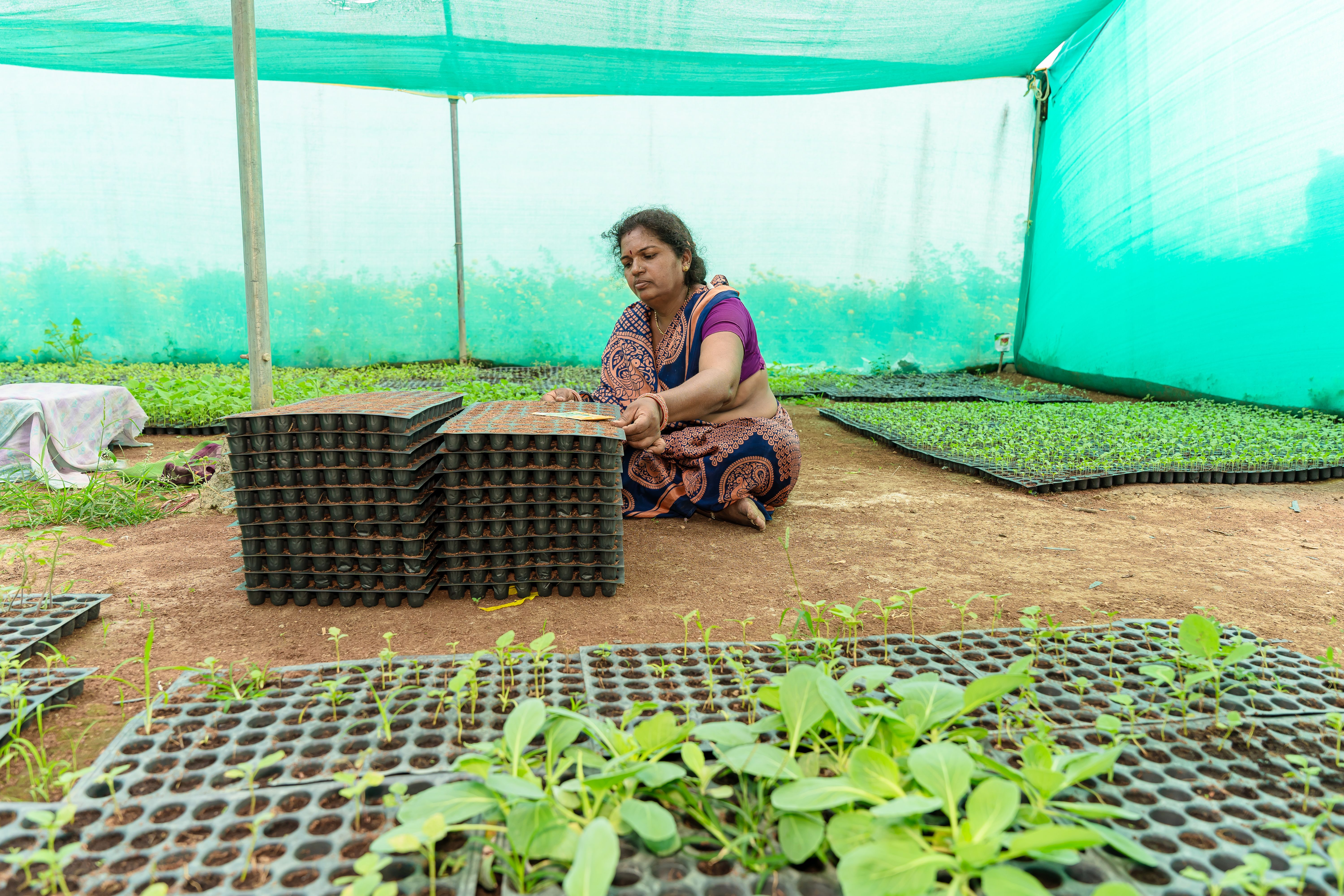 The emerging role of AI tools in smallholder finance — Photo by EqualStock IN on Pexels