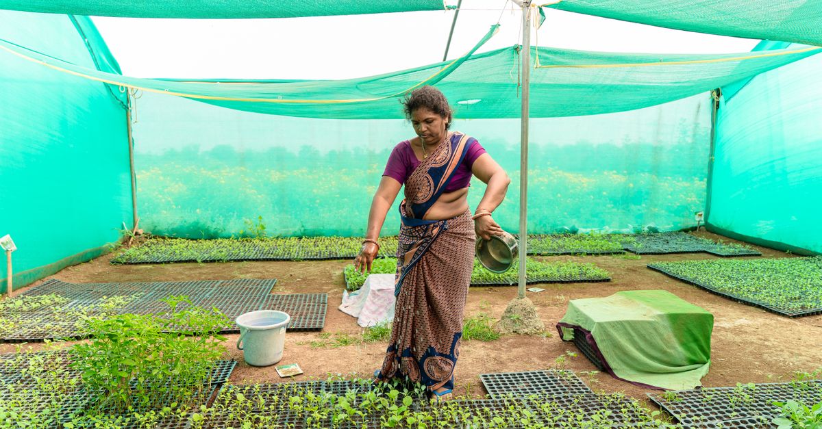 Can India Build a Sustainable Organ Donation Ecosystem?