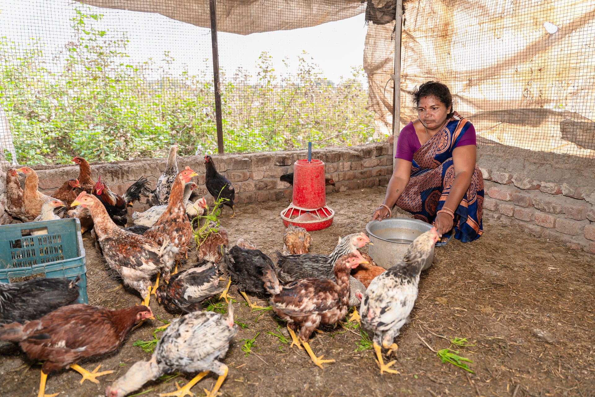 Farmers in India
