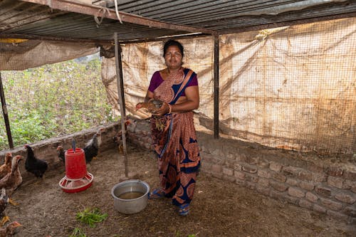 Farmers in India