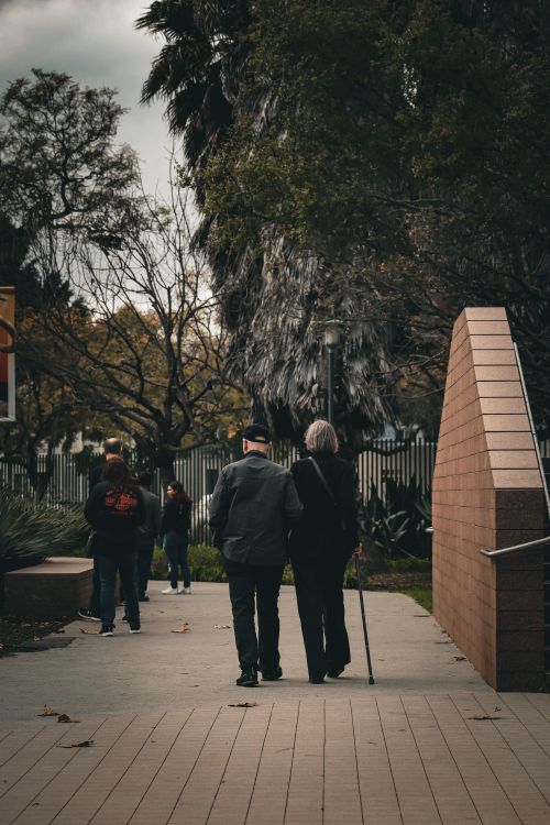 Free An elderly couple strolls together in an urban park, showcasing love and companionship. Stock Photo