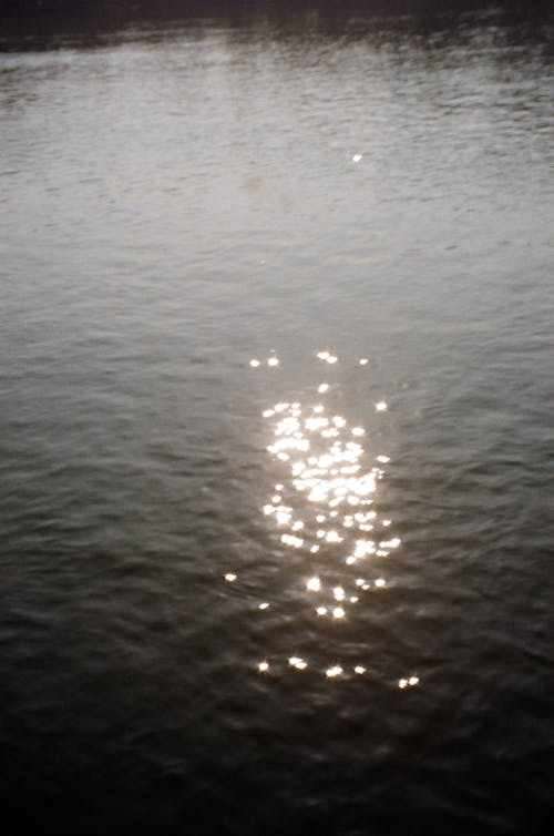 A body of water with the sun shining on it