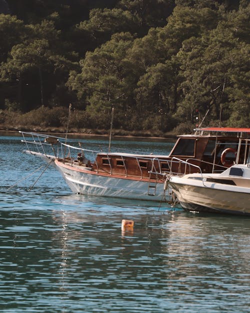 Immagine gratuita di ancorato, barche, fiume