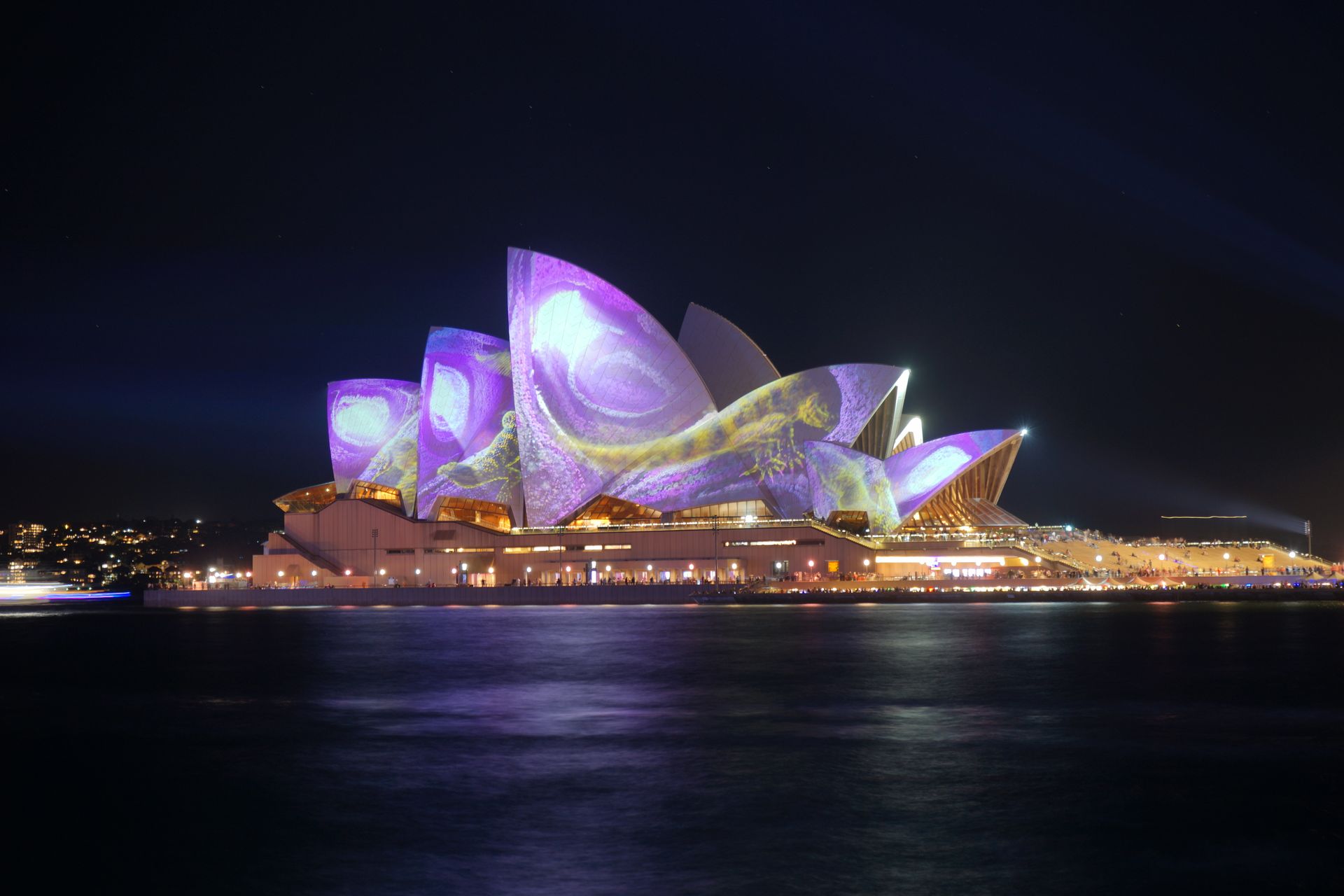Spectacular night view of the Sydney Opera House with colorful projections on its sails.