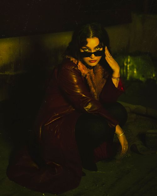 Free Portrait of a fashionable woman with sunglasses and a glamorous fur-collared coat in a moody ambiance. Stock Photo