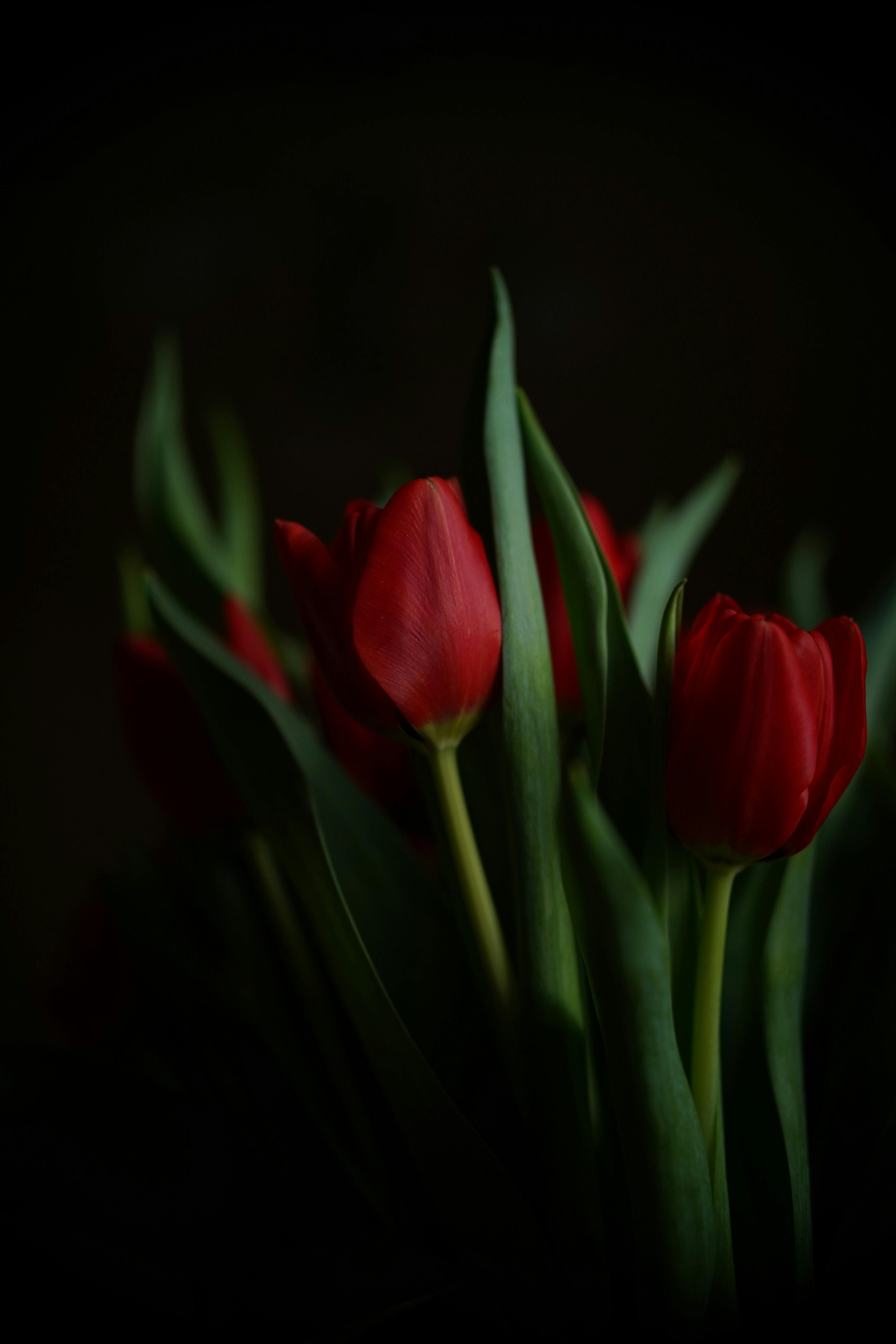 Bouquet on an Armchair · Free Stock Photo