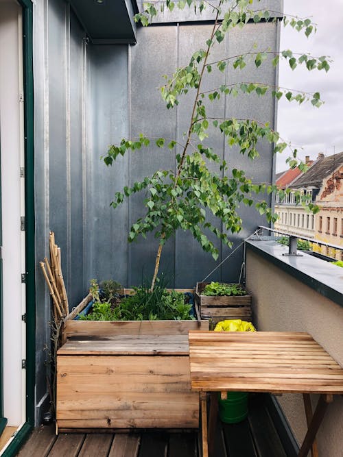 ağaç, ahşap masa, balkon içeren Ücretsiz stok fotoğraf