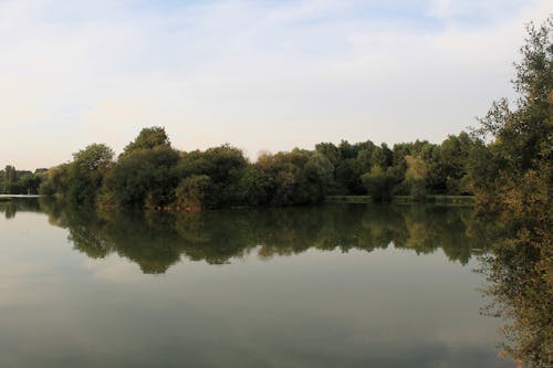 A lake with trees and water in the background
