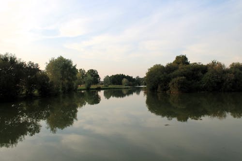 A lake with trees and water in the background