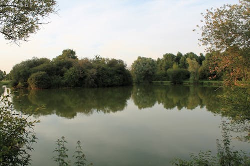 A lake with trees and bushes around it