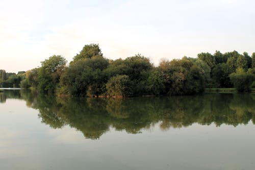 Darmowe zdjęcie z galerii z drzewa, jezioro, krajobraz