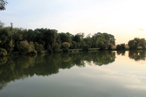 View of a Body of Water Surrounded with Trees