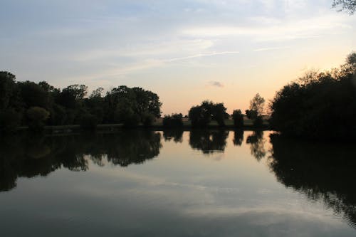 Kostenloses Stock Foto zu abend, bäume, friedvoll