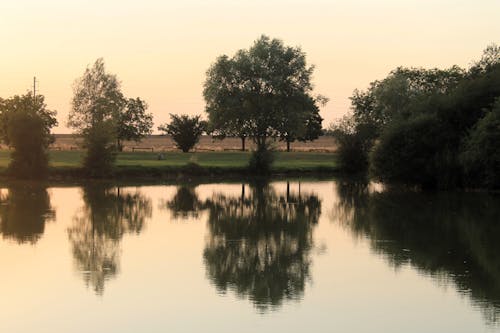 View of a Body of Water Surrounded with Trees at Sunset