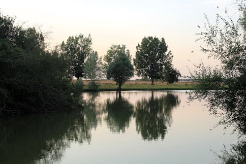 Landscape of a Lake with Trees Around in the Sunset