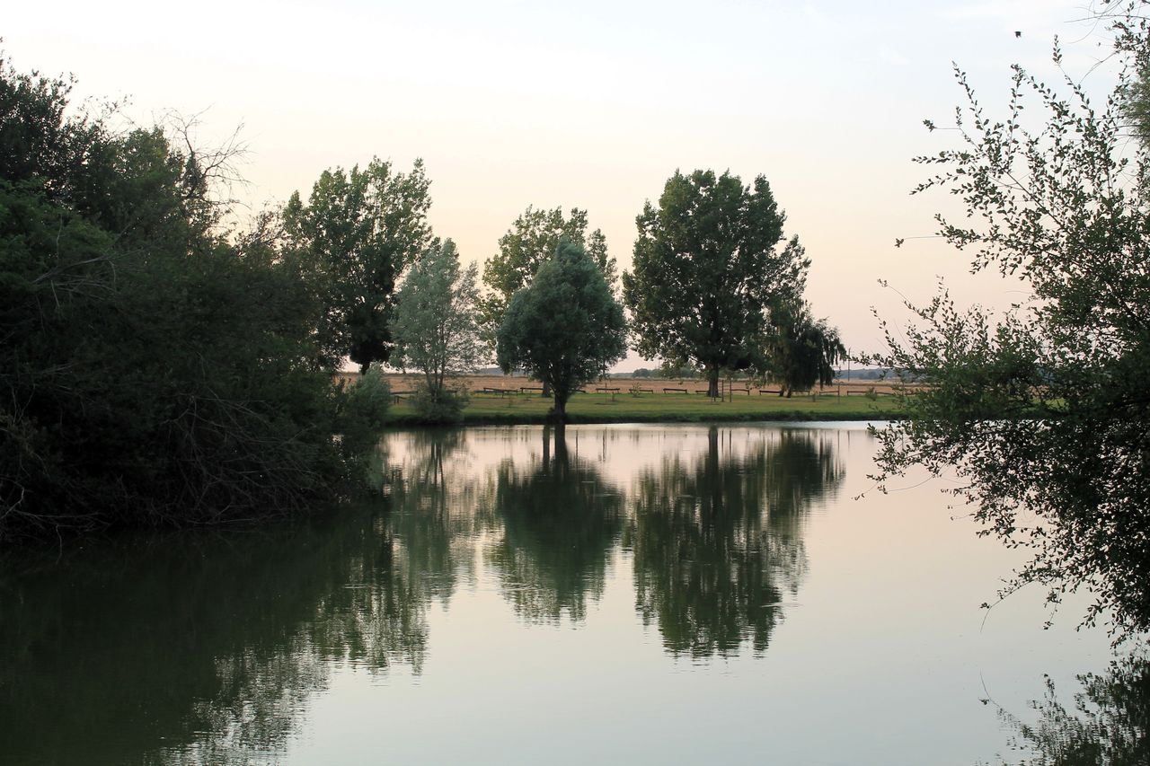 a tranquil evening scene with trees reflecting in a calm lake