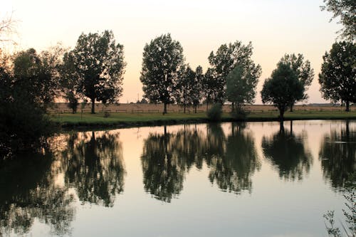 Lake by the Sunset with the Trees Around Reflecting in the Water