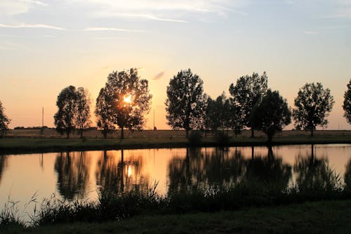 View of Silhouetted Trees and a Body of Water at Sunset