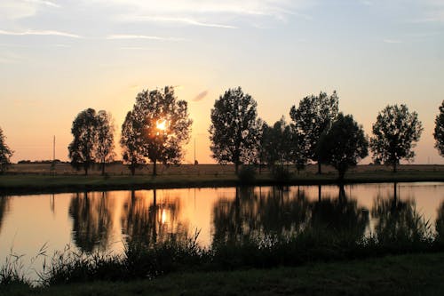 Foto profissional grátis de árvores, cair da noite, campo