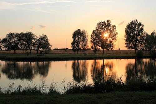 A sunset over a lake with trees and grass