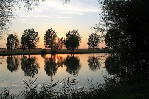 Landscape of a Lake Surrounded by Trees in the Sunset
