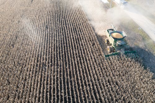 Aerial view of a combine harvesting corn