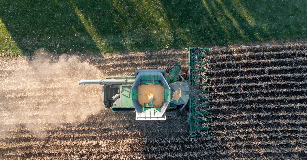 A split image showing a lush, small organic farm with a "Sold" sign on the left, and a massive, dusty industrial corn field on the right