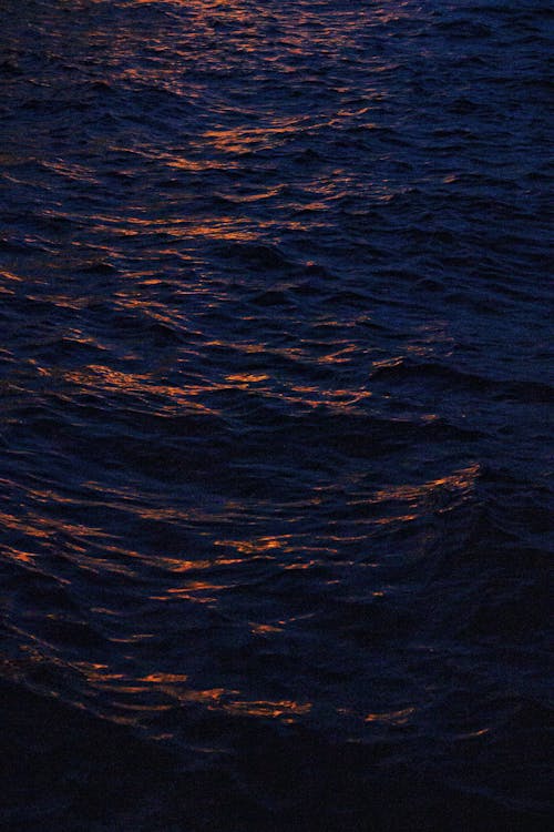 Základová fotografie zdarma na téma čeření, lesknoucí se, moře