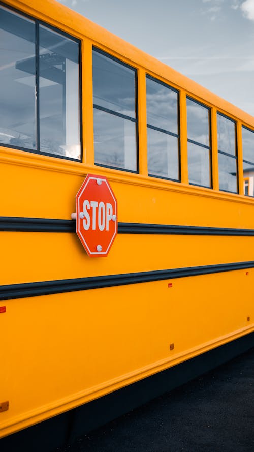 Foto d'estoc gratuïta de autobús escolar, autobús groc, complement escolar