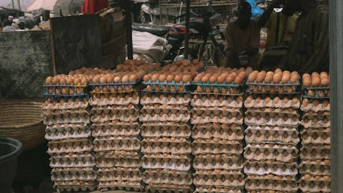 Eggs in Boxes at Bazaar