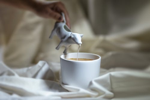 Fotos de stock gratuitas de café, café con leche, en forma de vaca