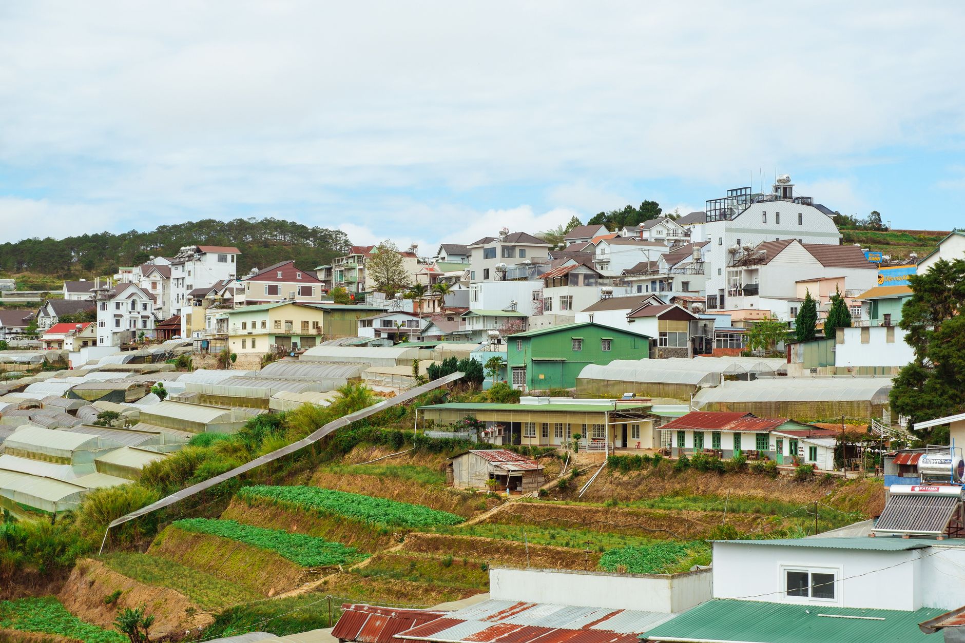 Idyllic rural village with greenhouses and houses nestled on a hillside under a bright sky.