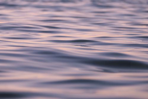 Free Serene close-up of gentle ocean waves reflecting soft dusk light, creating a tranquil scene. Stock Photo