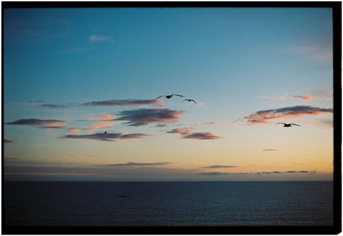 A sunset with birds flying over the ocean