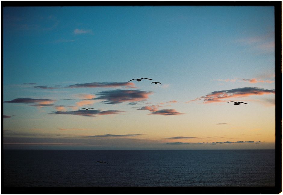 Seagulls glide over the ocean during a serene sunset, capturing nature's tranquil beauty.