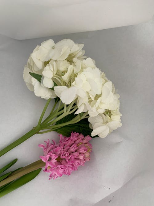 꽃, 높은 각도보기, 부케의 무료 스톡 사진