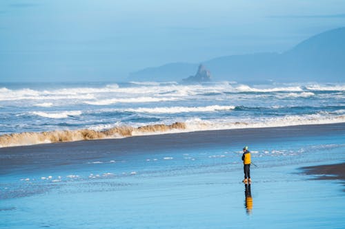 人, 岸邊, 海 的 免费素材图片