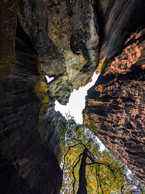 Foto stok gratis batu, bentuk hati, cinta