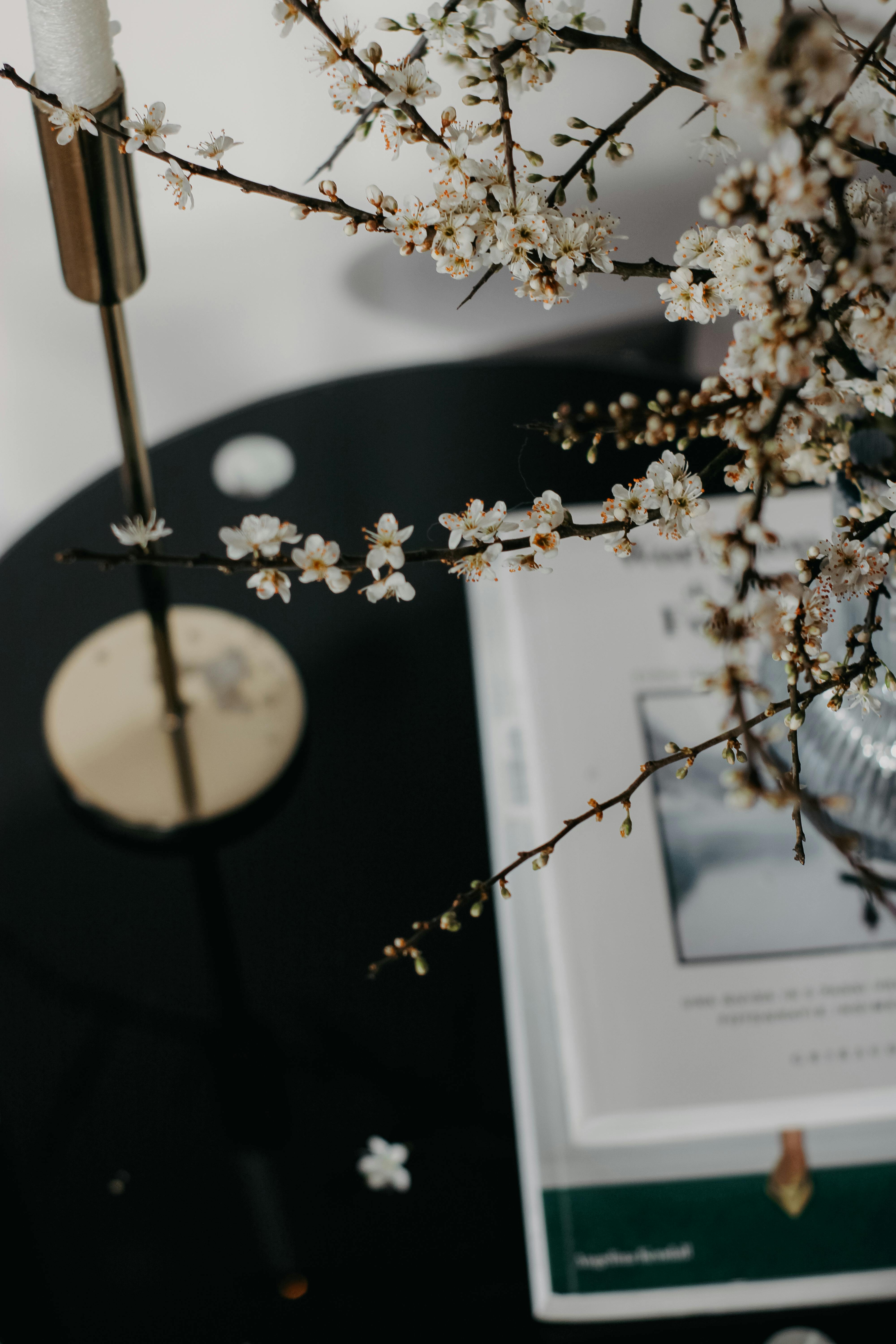 A chic coffee table setup featuring delicate blossoms, books, and stylish decor.