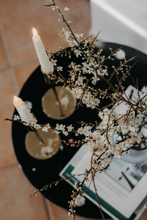 Základová fotografie zdarma na téma květy, stůl, třešeň