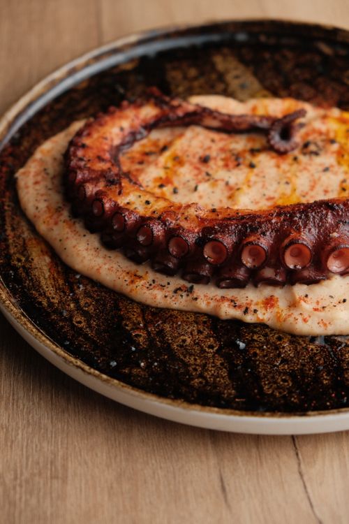 Free Close-up of grilled octopus served on a flavorful puree, perfect for seafood lovers. Stock Photo